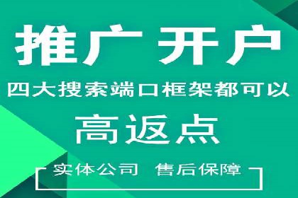 专业sem托管服务案例，揭秘广告投放优化策略